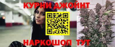 гидра Вышний Волочёк