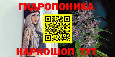 гидра Вышний Волочёк